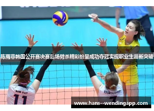 陈雨菲韩国公开赛决赛后场劈杀精彩纷呈成功夺冠实现职业生涯新突破