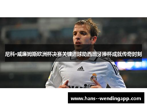 尼科·威廉姆斯欧洲杯决赛关键进球助西班牙捧杯成就传奇时刻 尼科·威廉姆斯欧洲杯决赛关键进球助西班牙捧杯成就传奇时刻